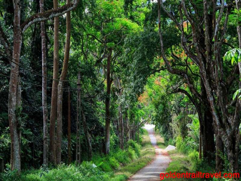 Cuc Phuong Day Trip from Hanoi